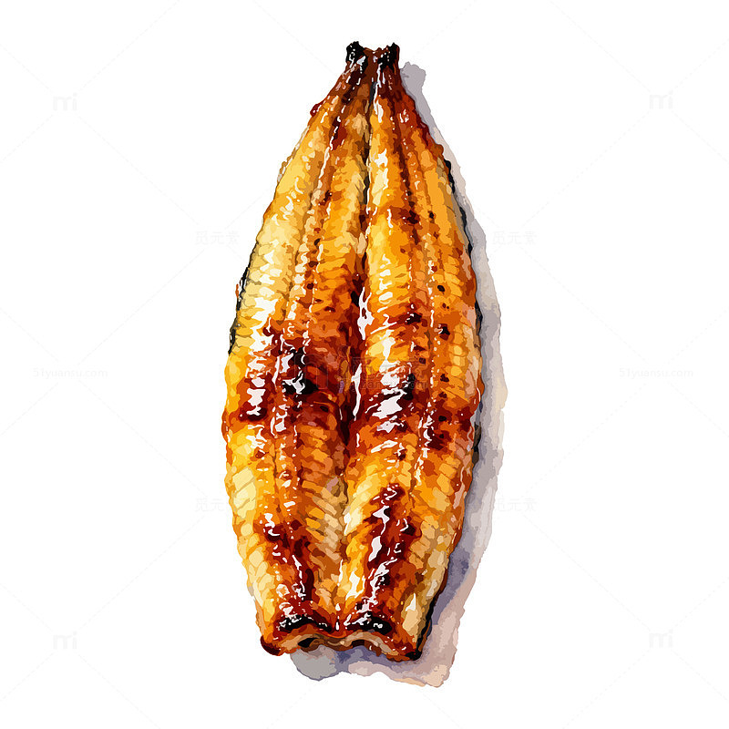 水彩鳗鱼料理美食插画