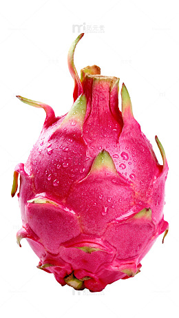 鲜艳火龙果特写摄影