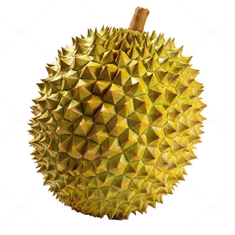 榴莲特写水果摄影图片