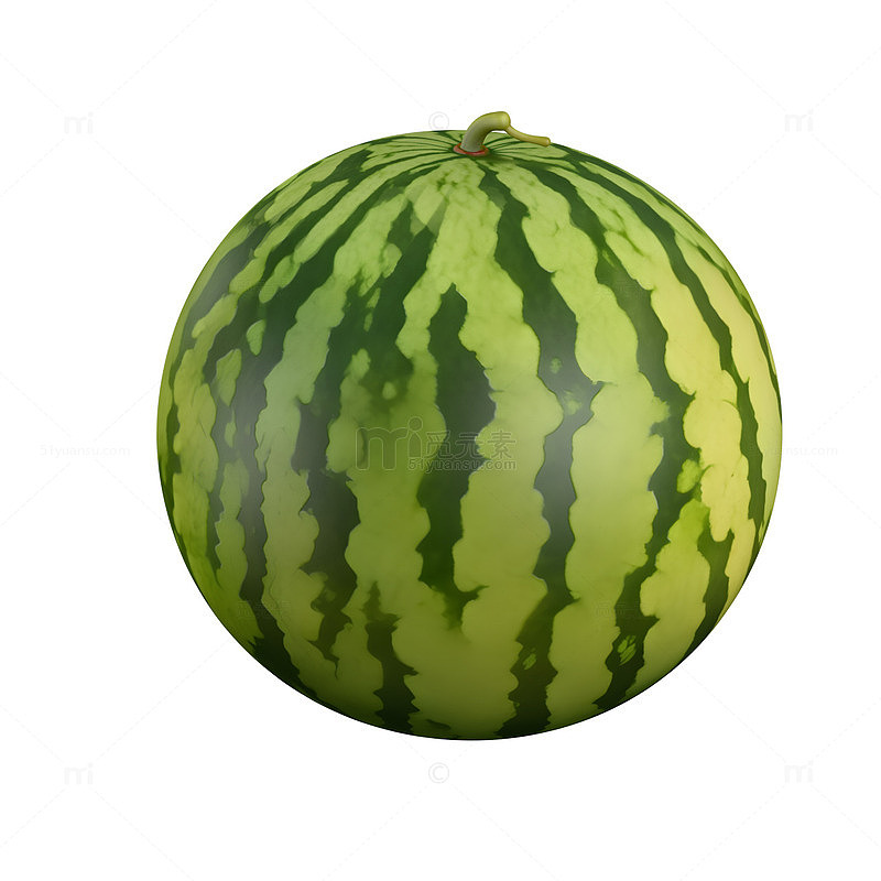 夏季水果西瓜模型