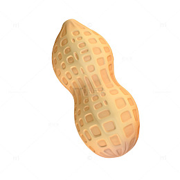 卡通坚果花生3D模型