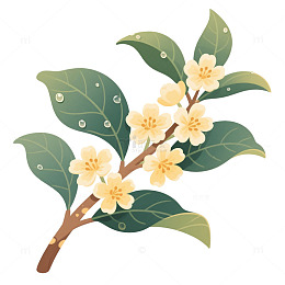 手绘风格桂花插画设计素材中秋