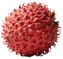 红毛荔枝特写水果摄影