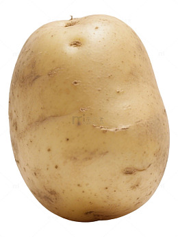 实物拍摄土豆特写