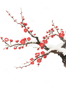 雪中红梅绽放图