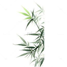 白底绿意舒展竹叶图
