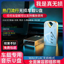 u盘 手机电脑优盘 存储音乐 车载