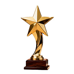 金色星形奖杯置于木质底座