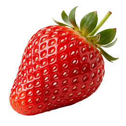 一颗鲜红多籽的草莓图片