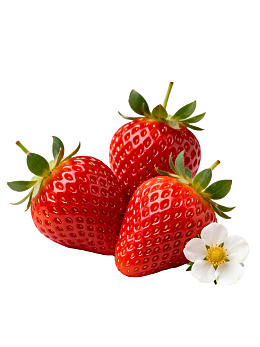 三颗鲜红草莓与一朵小白花