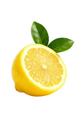 切开的柠檬配绿叶图片