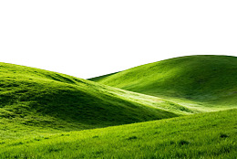 翠绿起伏的草地景观图片