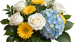 白玫瑰黄雏菊蓝绣球花束