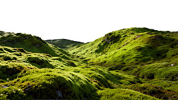 青翠苔藓覆盖的山丘景观