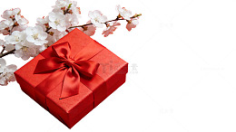 红礼盒配花果60