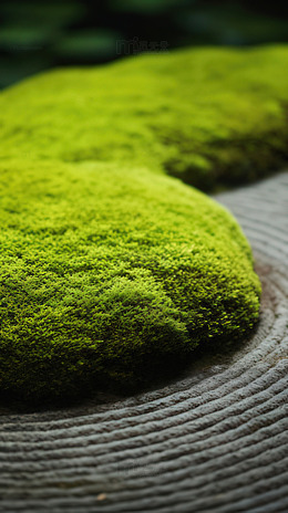 绿色苔藓禅意景观