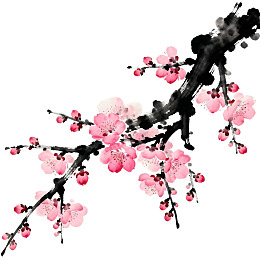 水墨梅花枝绽放图片