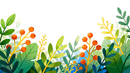 色彩斑斓的植物果实插画