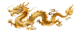 金色中国龙图案图片