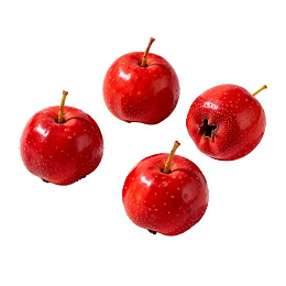 四颗鲜红山楂果实特写