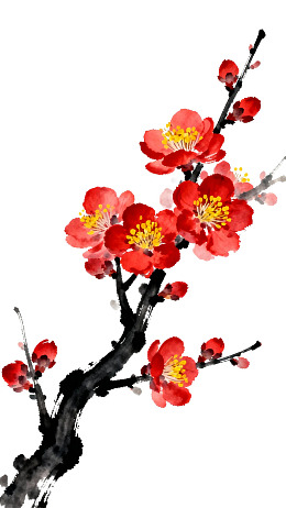 红梅枝头绽放水墨画图片