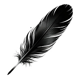黑白羽毛特写图片
