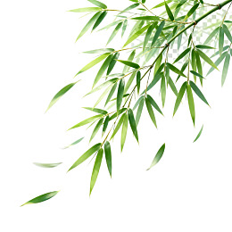 竹叶轻垂随风飘动图片