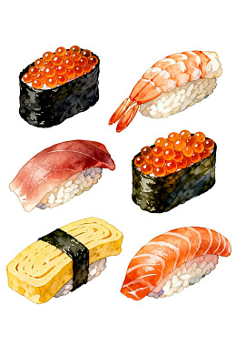 六种精美寿司插画展示