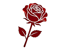 一朵红色玫瑰花的简洁插画