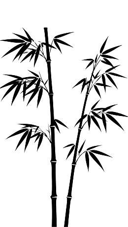 黑白竹子剪影插画图片