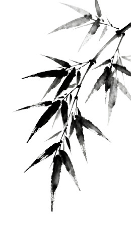 水墨竹叶枝条优雅姿态