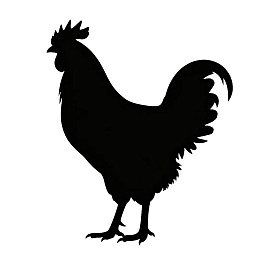 公鸡黑色剪影图图片