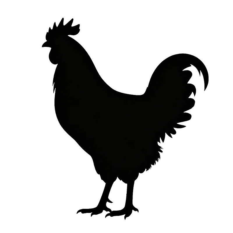 公鸡黑色剪影图图片