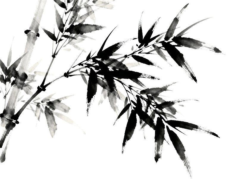 水墨竹枝优雅自然图片