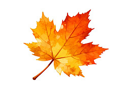 秋日枫叶水彩画图片