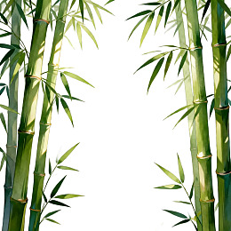 两簇翠绿竹子对称排列