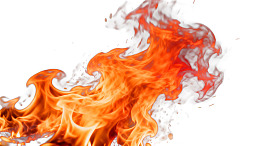 白色背景上的火焰动态特写