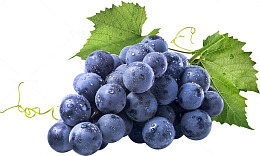 新鲜紫葡萄水果特写摄影图