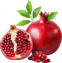 石榴特写水果插图
