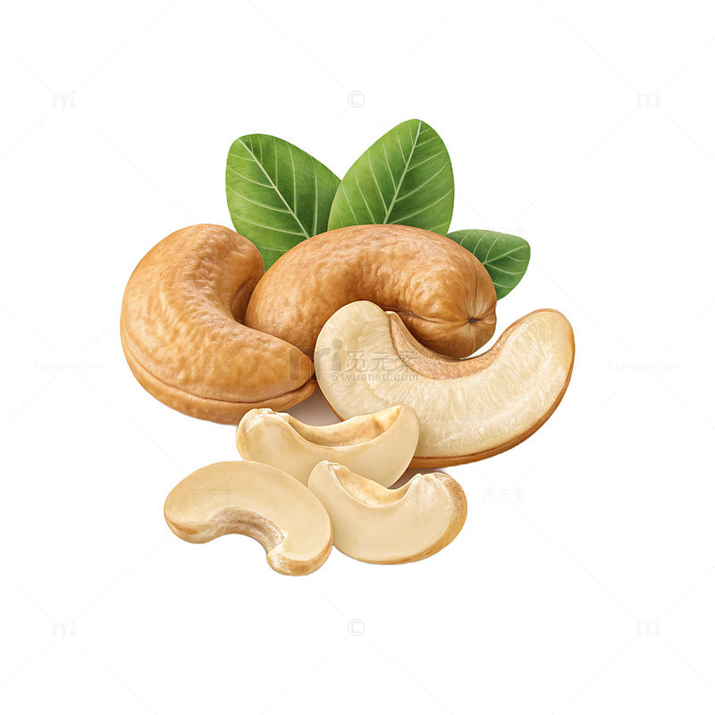 坚果插图展示