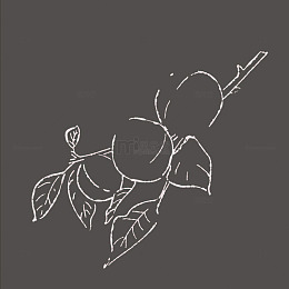 手绘卡通夏日青梅梅子图片素材