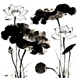 水墨荷花写意画