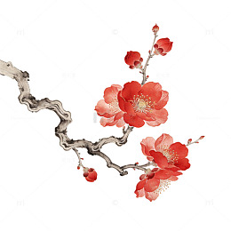 水墨红花梅花绘画素材