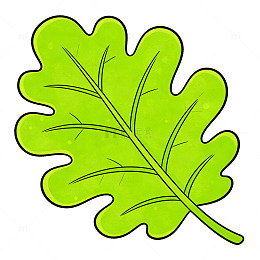 卡通风格橡树叶矢量插画