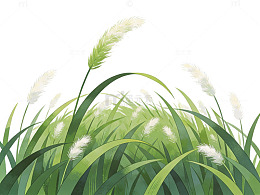 清新绿草白花插画