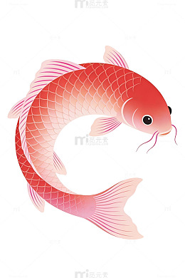 卡通锦鲤鱼插画