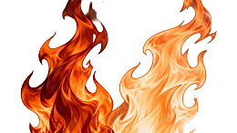 两簇火焰在白色背景上燃烧
