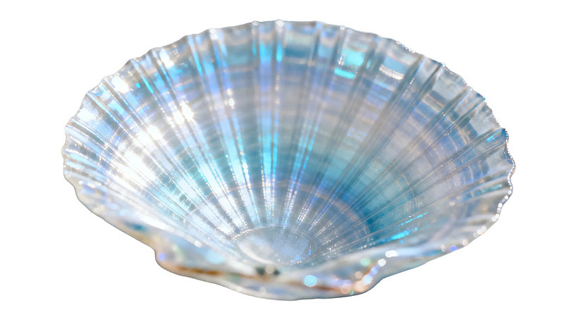 透明玻璃贝壳装饰品图片