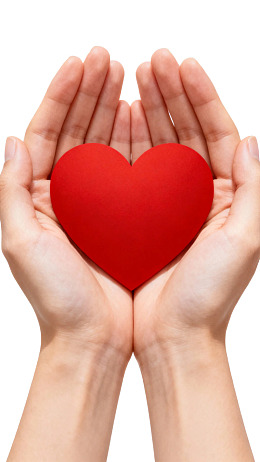 双手捧红心传递爱意图片
