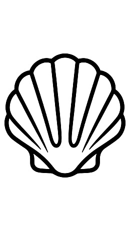 简洁线条绘制的贝壳图案